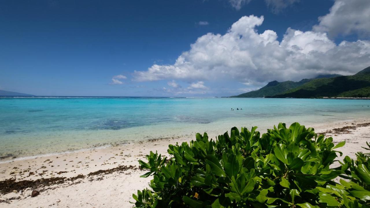 Bungalow N°1 Temae Beach by Enjoy villas - B&B Maraa