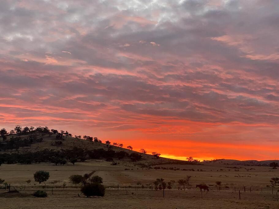 B&B Wilmington - Cosy Flinders Ranges Retreat With Stunning Sunsets - Bed and Breakfast Wilmington