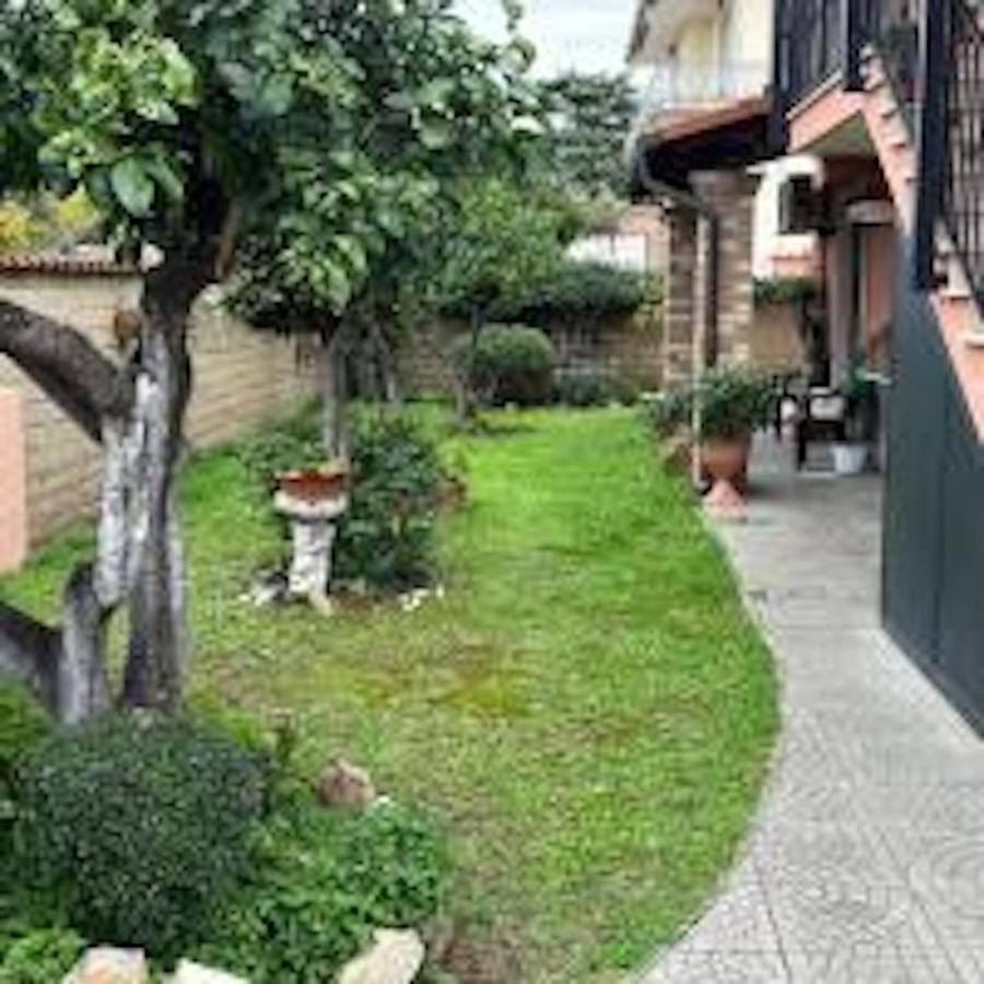 Un sogno nel verde - B&B