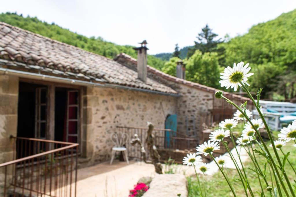 Auberge de Lascours, gîte d'étape pleine nature. - Bed and Breakfast