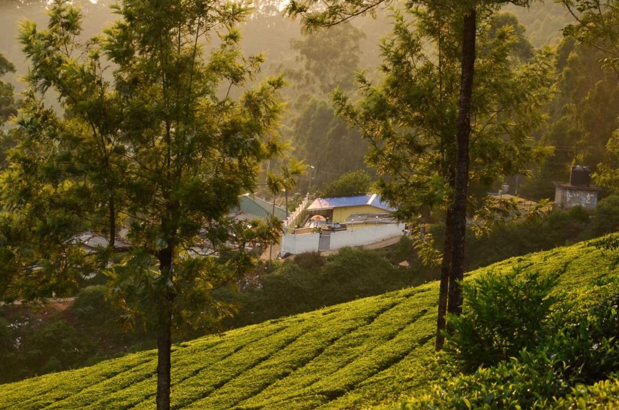 Munnar Valley View - B&B