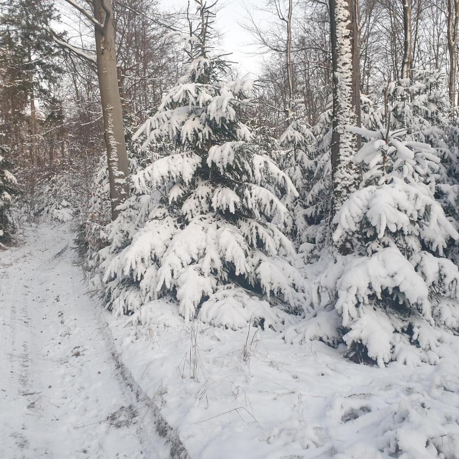 Appartement 2 Chambres