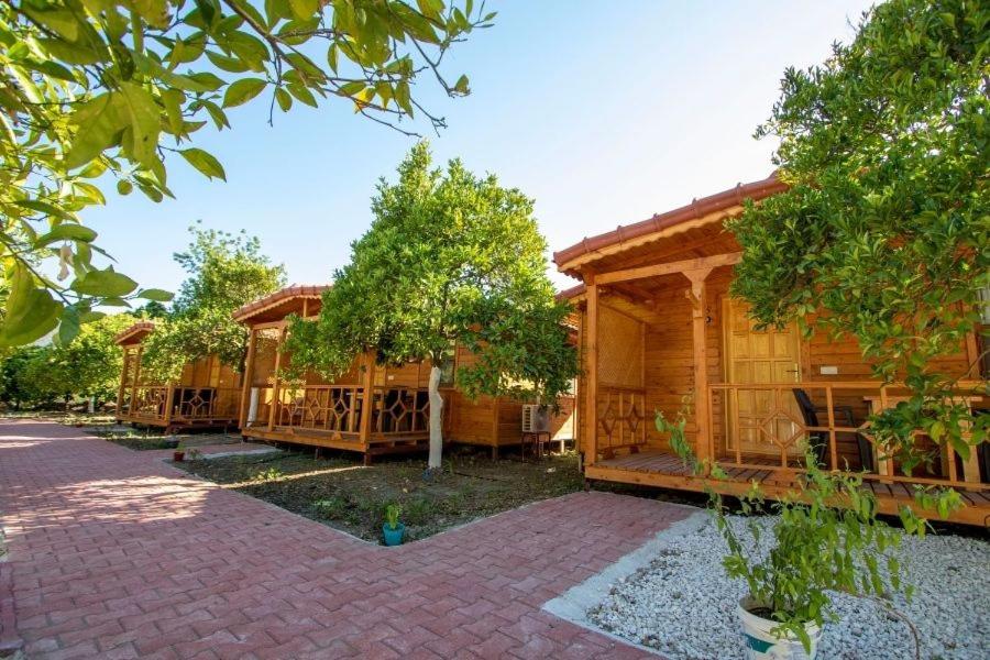 B&B Kumluca - Eliz Apart & Bungalow - Bed and Breakfast Kumluca