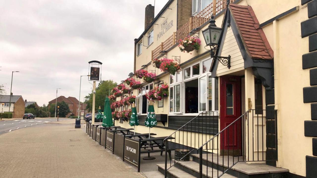The Poacher - B&B
