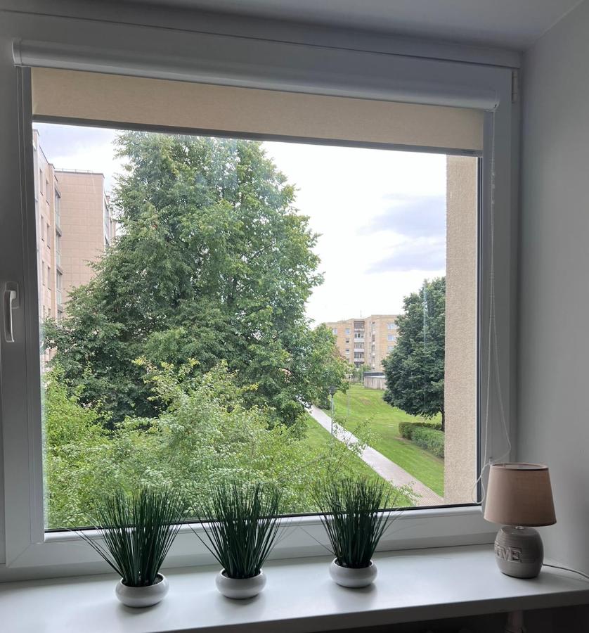 Saulėti apartamentai Trakuose/Sunny apartment in Trakai - Chambres d’hôtes Trakai