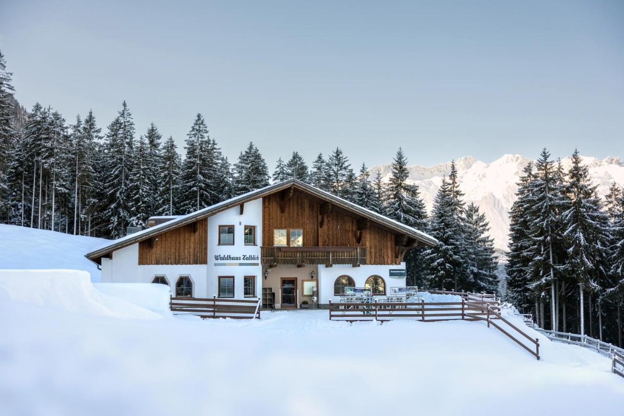 Waldhaus Talblick - Ferienwohnung