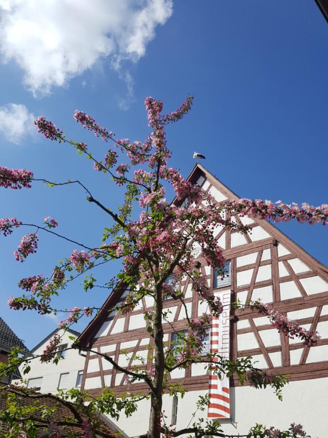 B&B Bad Saulgau - Appartement am Stadtmuseum - ruhig und zentral gelegen - Bed and Breakfast Bad Saulgau