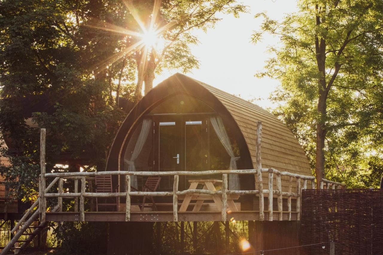 Boomhuis met optioneel wellness - Vakantiepark de Schreiershoek - Bed and Breakfast Dokkum