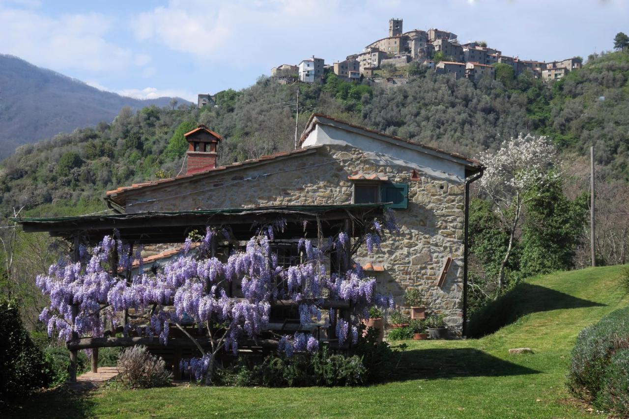 B&B Vellano - Casa Giusti - Vellano, Pescia, Pistoia - Bed and Breakfast Vellano