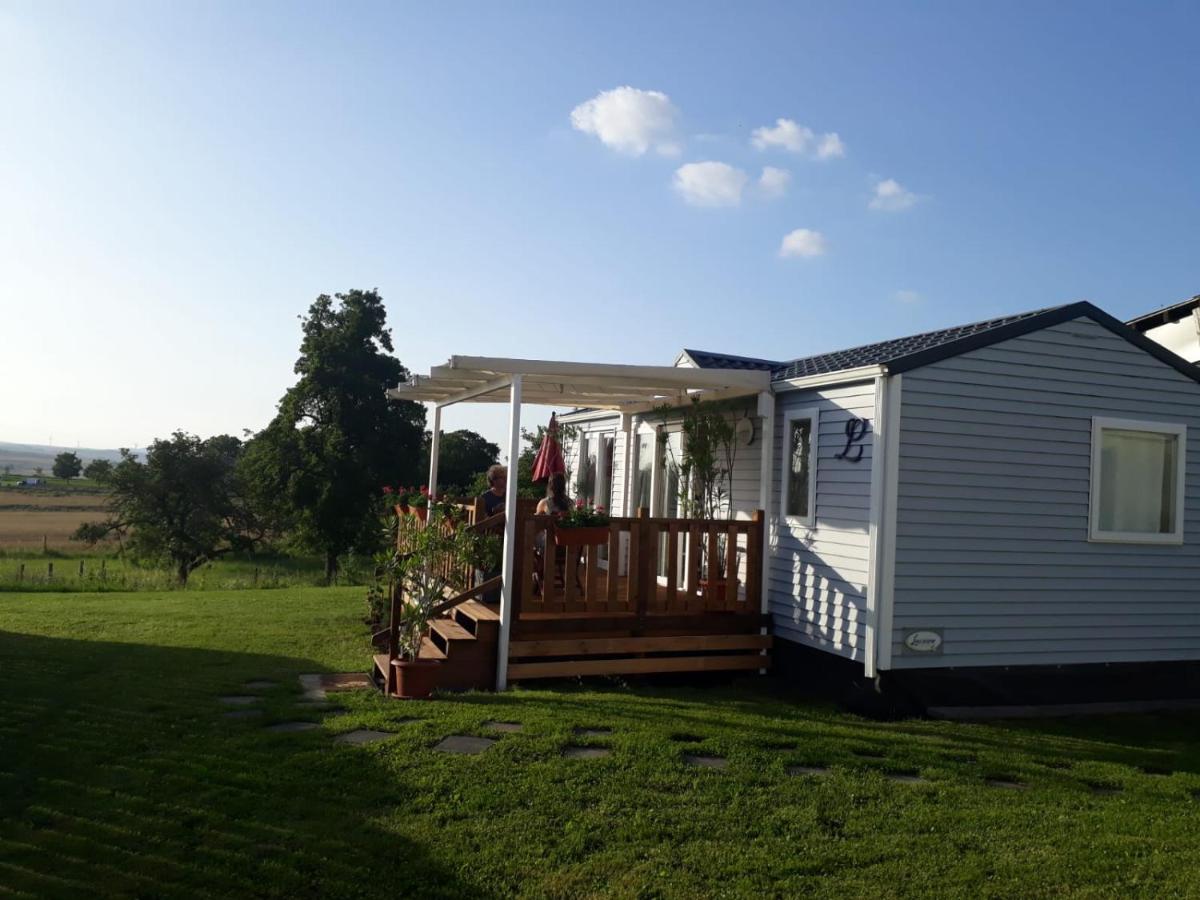 Tiny House Natur-Traum Zur Burg Eltz - Ferienwohnung