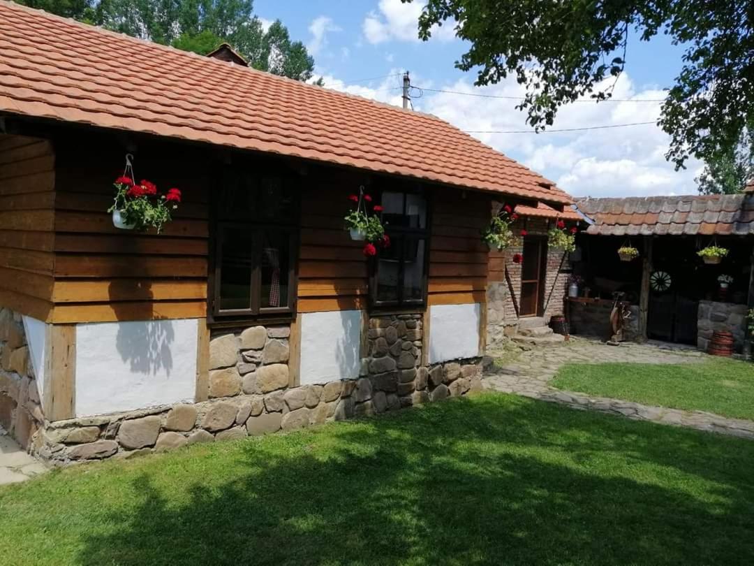 B&B Dimitrovgrad - Etno kuca Nikolov - Bed and Breakfast Dimitrovgrad