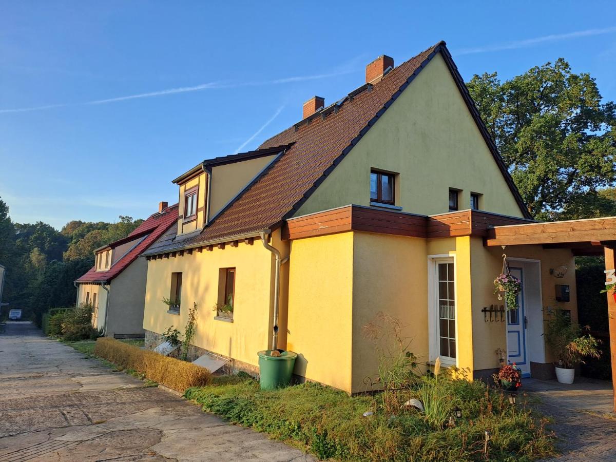 B&B Schmerwitz - Unterkunft Mohr - Bed and Breakfast Schmerwitz