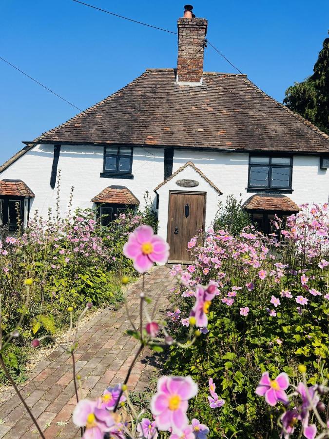 B&B Doddington - Charming, dog friendly cottage - Bed and Breakfast Doddington