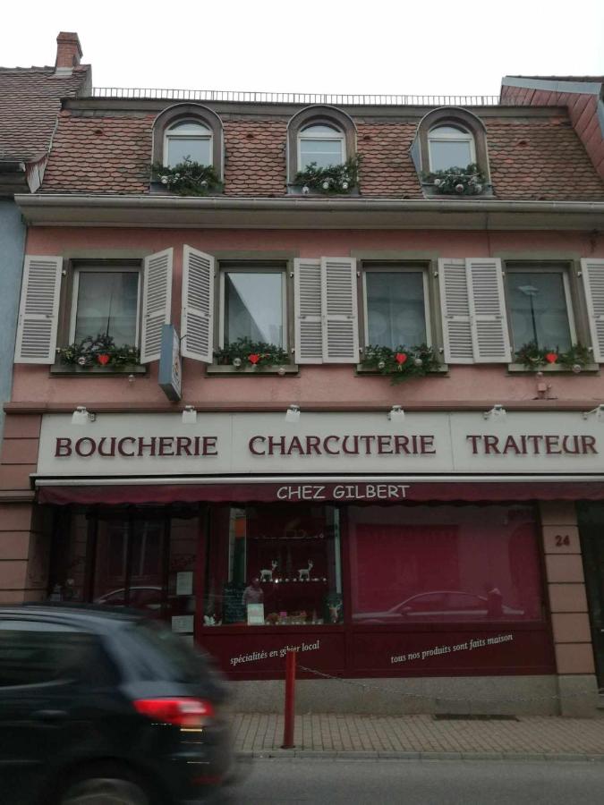"Côté nature", appartement cosy au cœur de Munster - Ferienwohnung Munster
