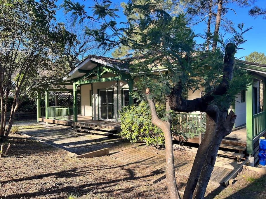 La Landaise au golf de Biscarosse - Ferienwohnung Biscarrosse