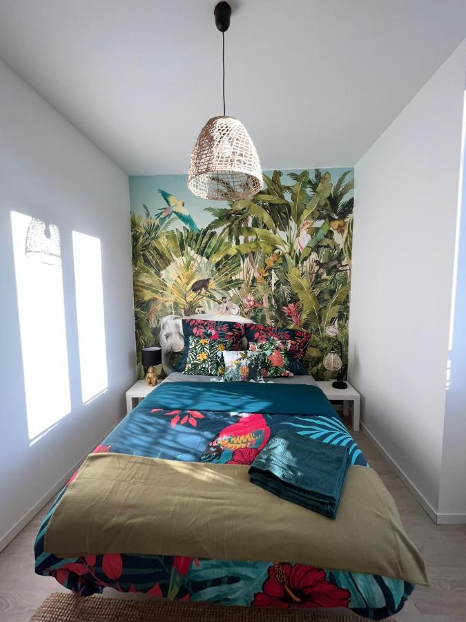 B&B Vierzon - Studio tropical , vierzon , proche gare , tout confort - Bed and Breakfast Vierzon