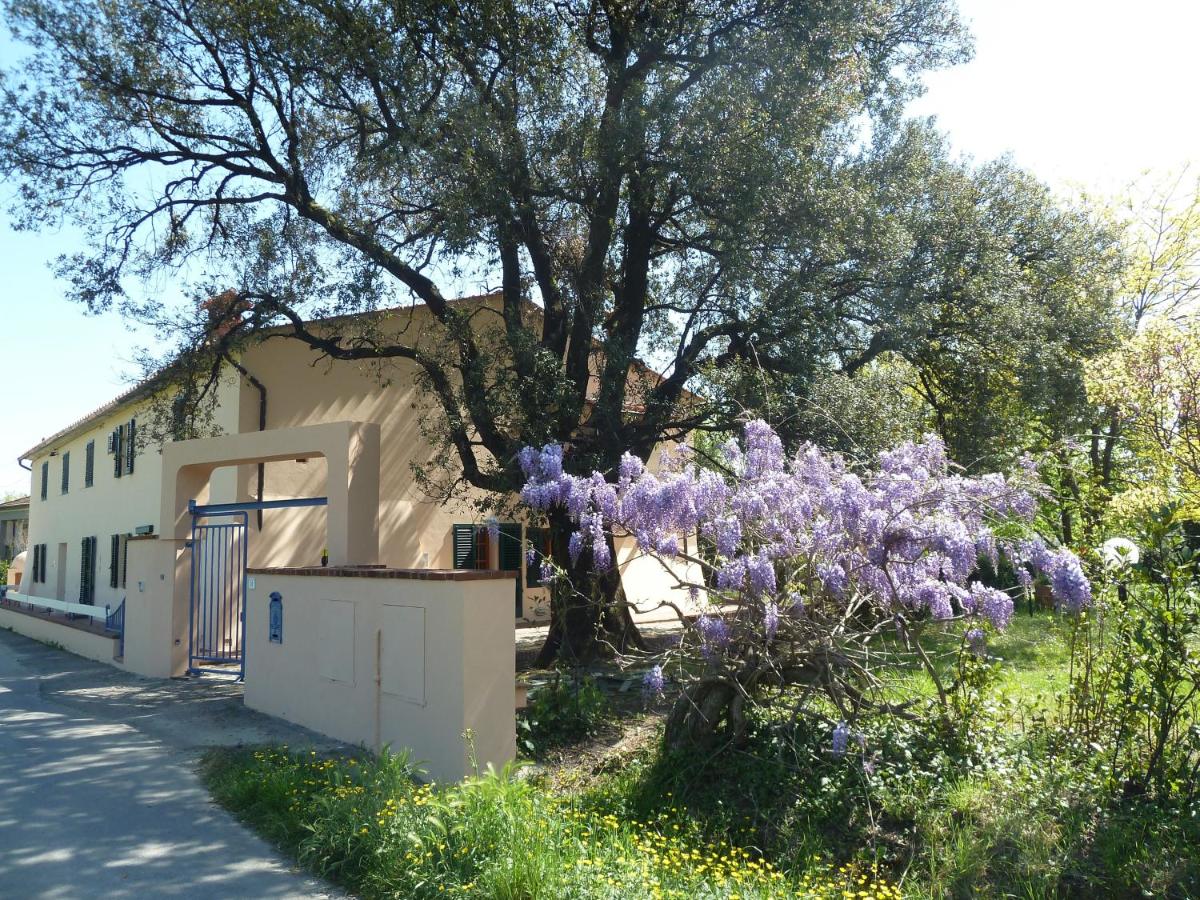 Al Vecchio Leccio - B&B
