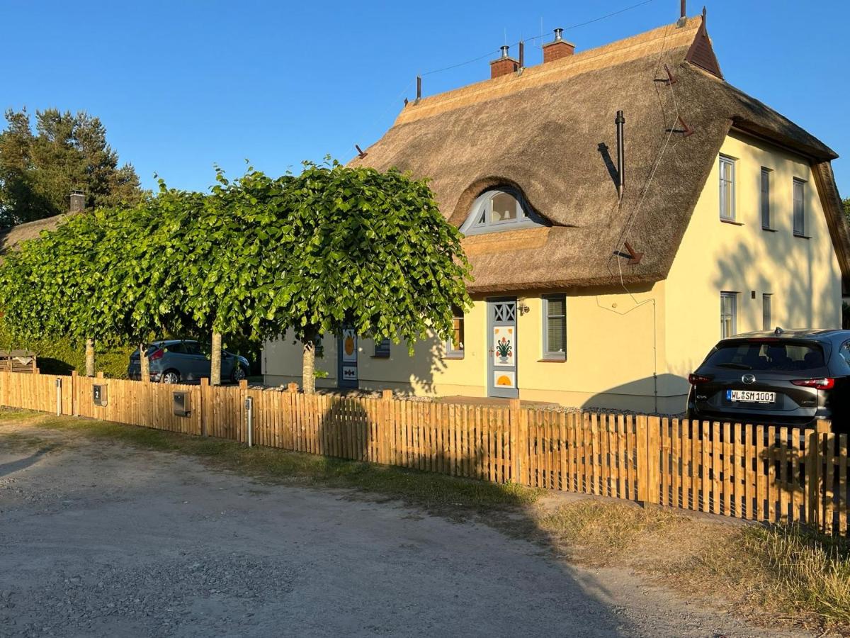 Ferien unterm Reet - Bed and Breakfast Ostseebad Prerow