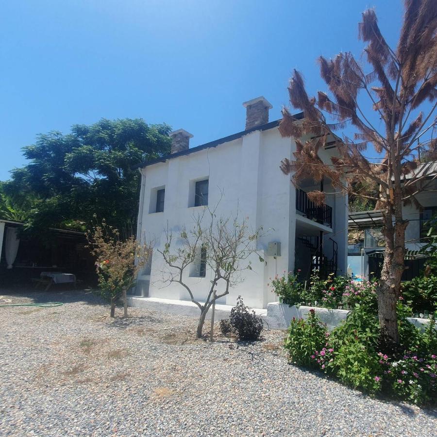 BayKus Guesthouse-Konukevi - B&B