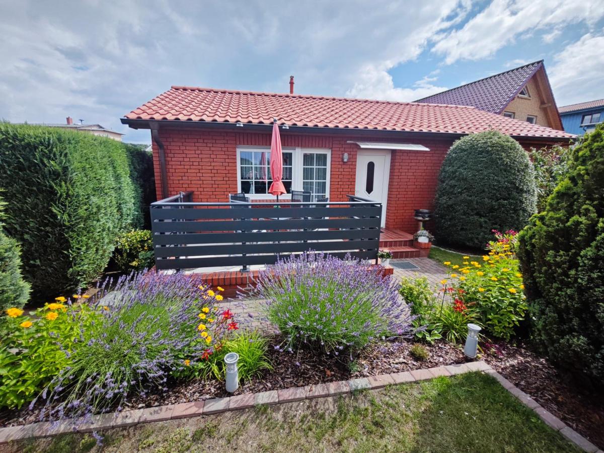 Ferienwohnung Hidde - Ferienwohnung Koserow/Insel Usedom