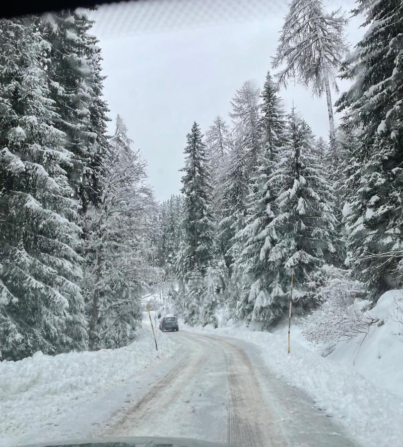 Sole Alto Marilleva - B&B Mezzana