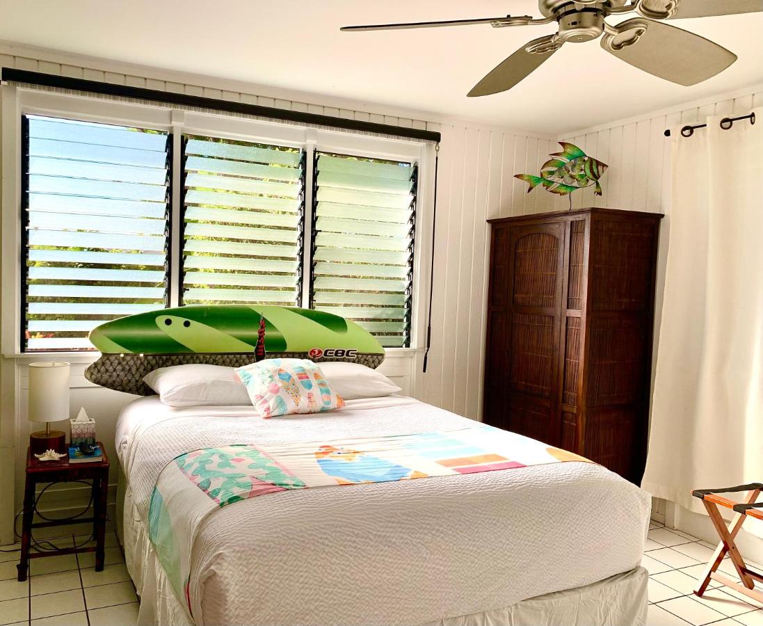 Surfer Room