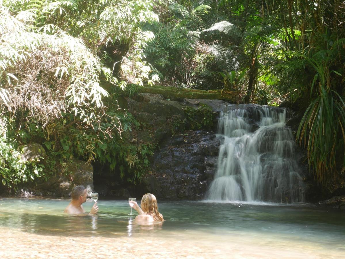 B&B Cow Bay - Fairy Falls - romantic Daintree Rainforest retreat with enchanting waterfall - Bed and Breakfast Cow Bay