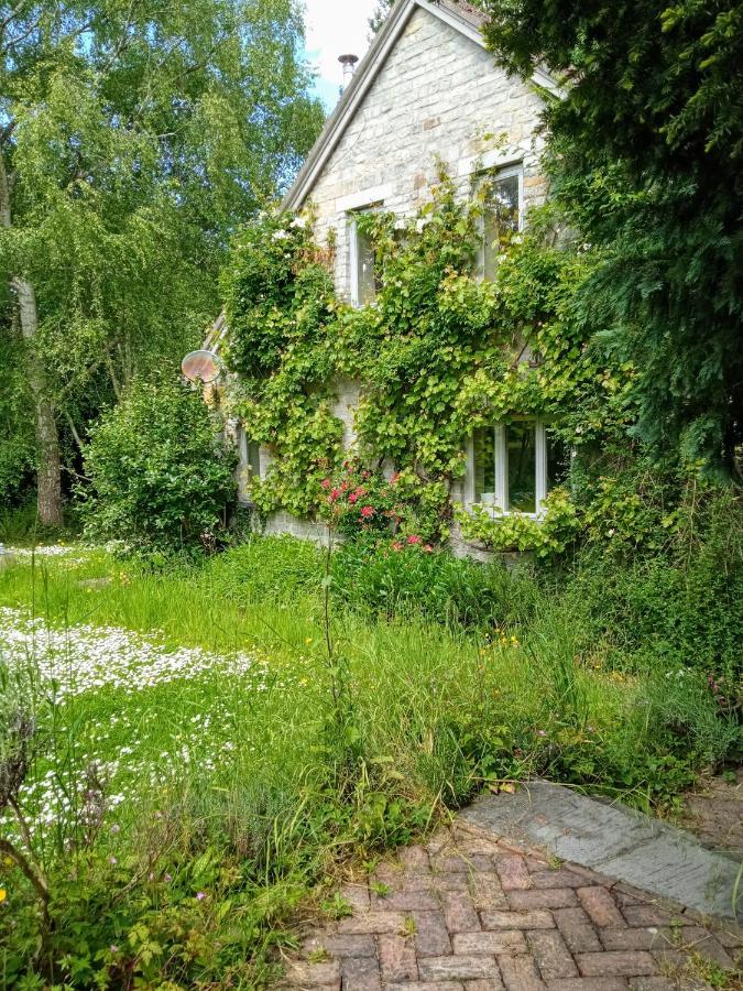 Cozy Somerset country cottage - B&B Somerton