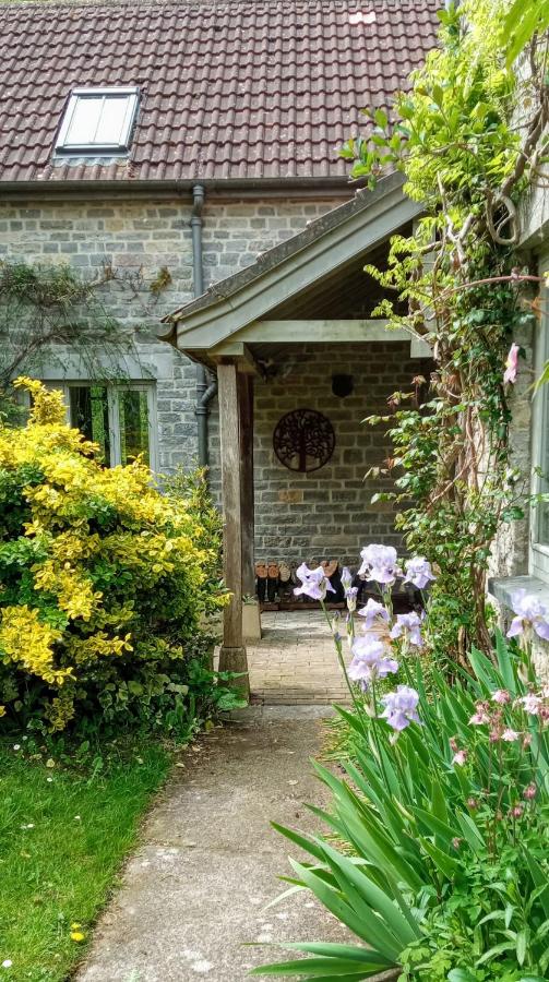 Cozy Somerset country cottage - B&B Somerton