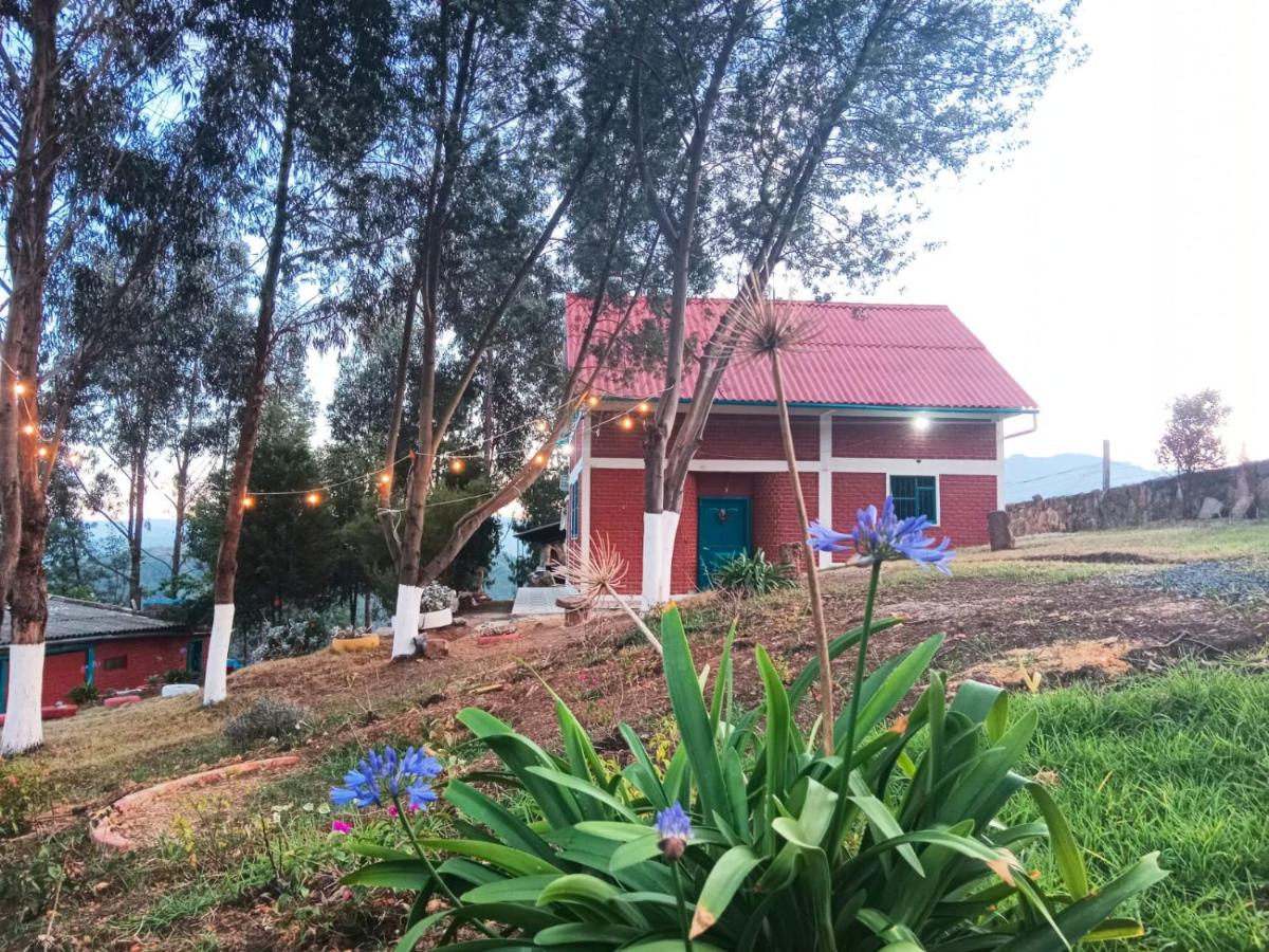 Alojamiento en cabaña - B&B