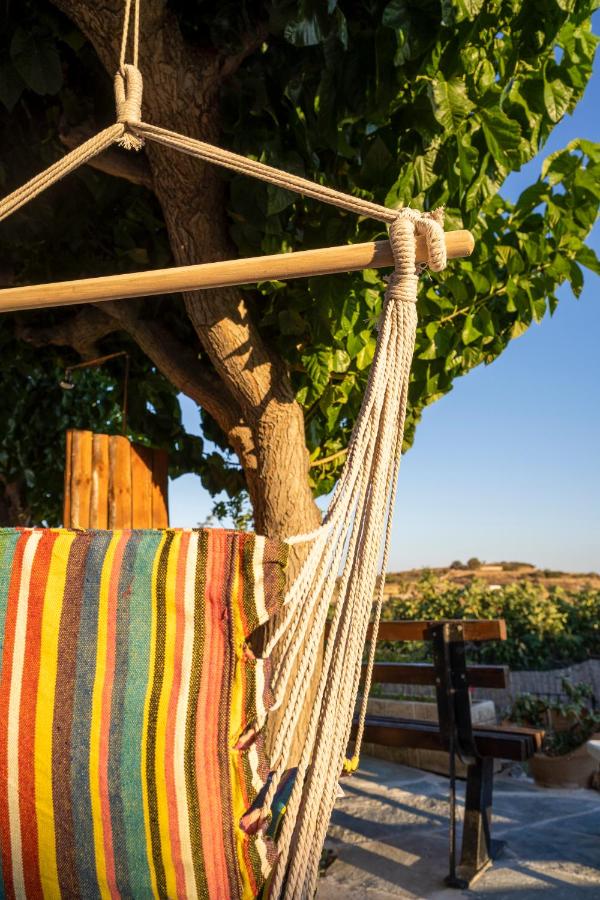 Ktima Asteria - B&B Kárystos