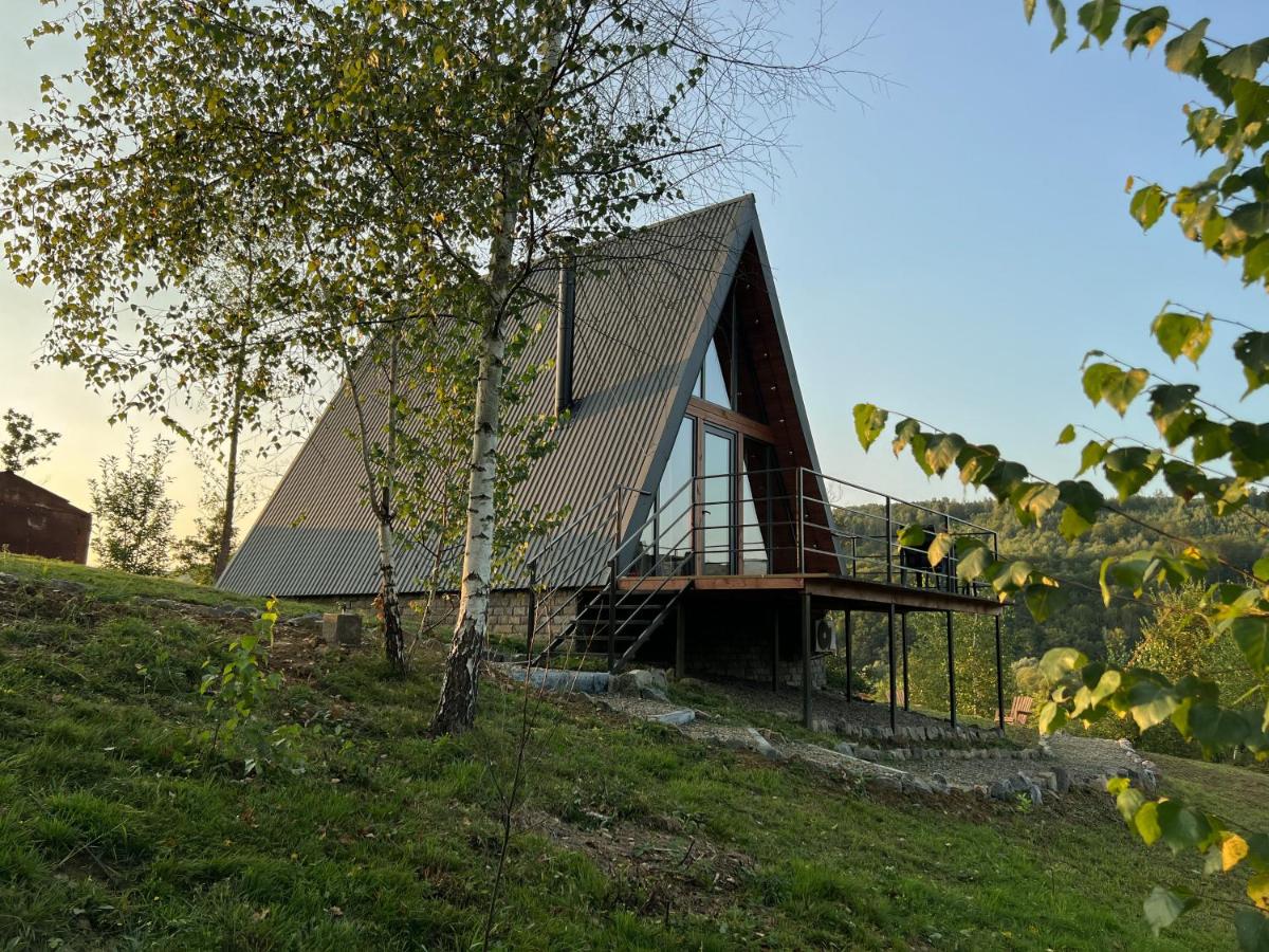 Dobrede - будиночки під лісом - B&B Dubrynychi