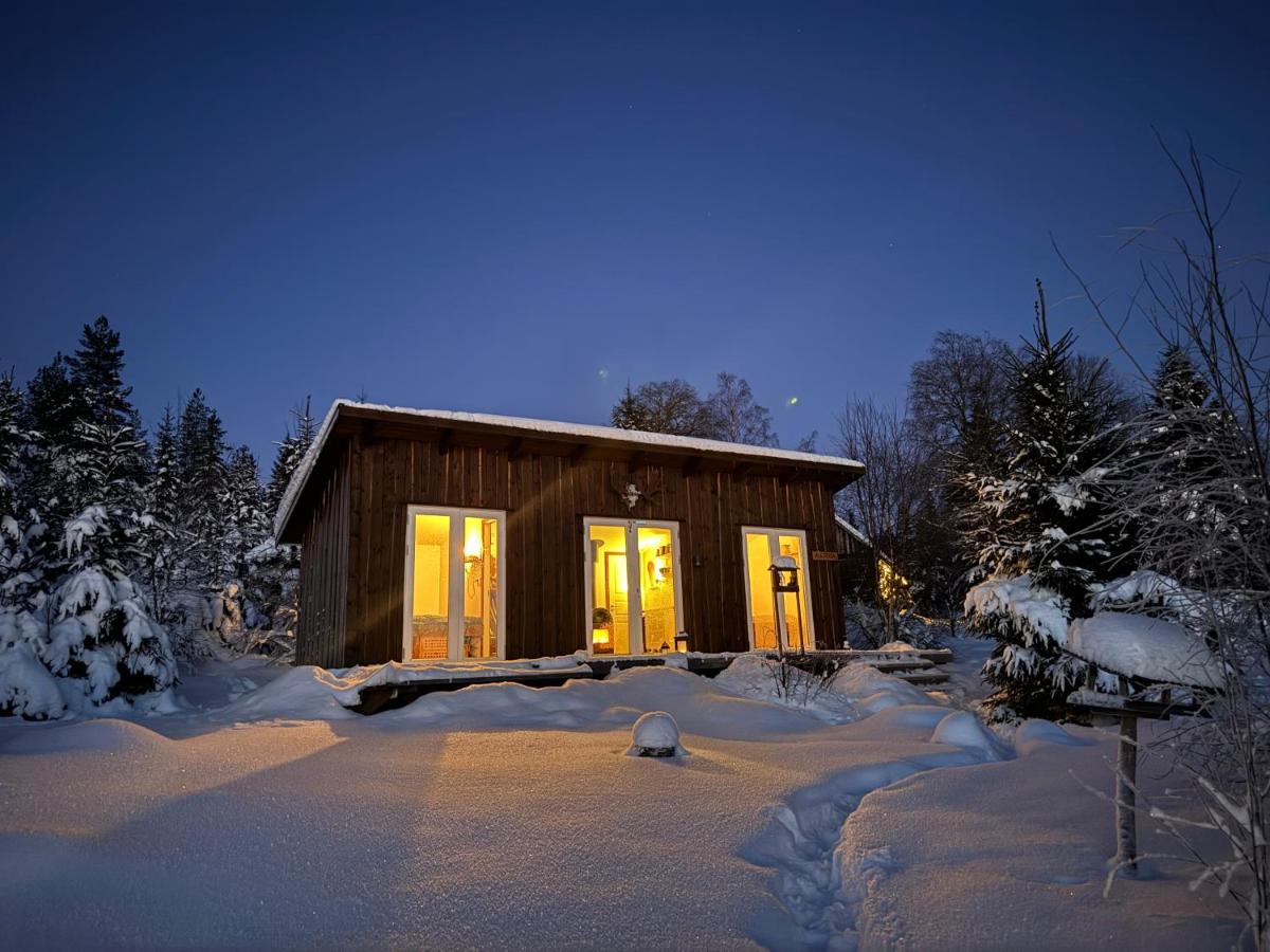 B&B Torsby - Cozy forest cabin with amazing mountain view - Bed and Breakfast Torsby