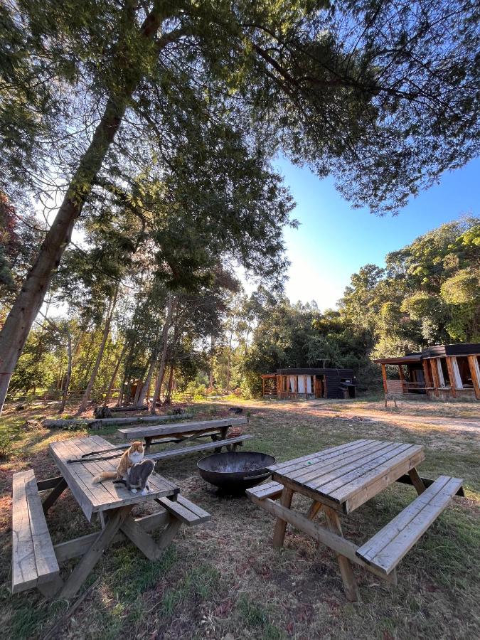 Reserva los Bollenes - B&B Constitución