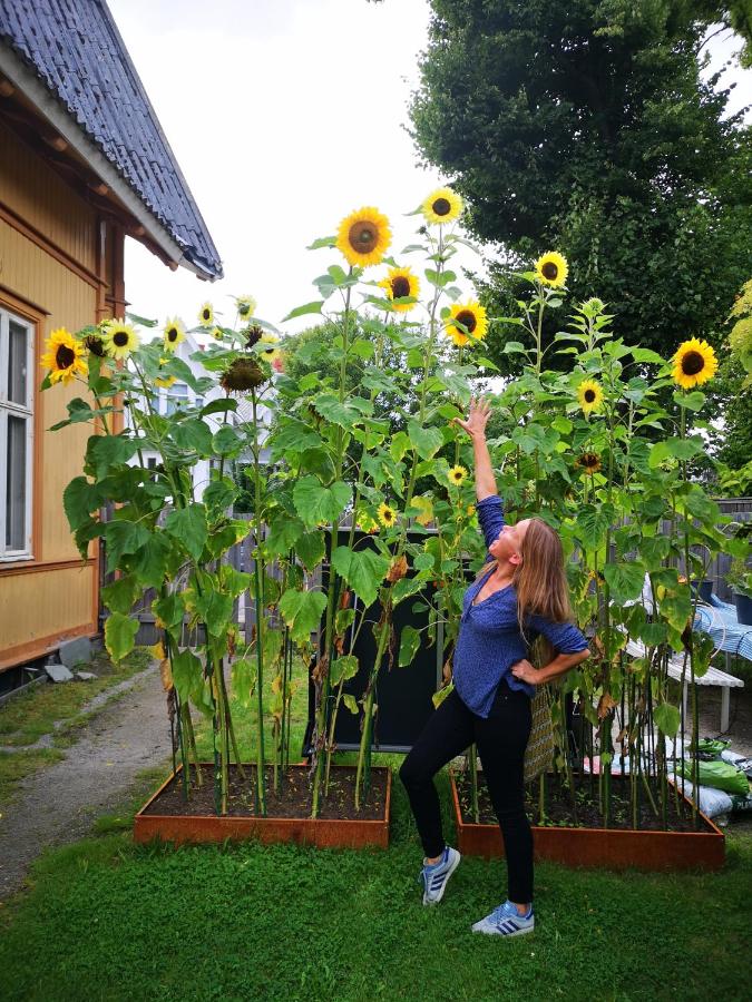 Fredrikstad Cicignon, peaceful but central with garden, parking and long stay facilities - B&B Fredrikstad