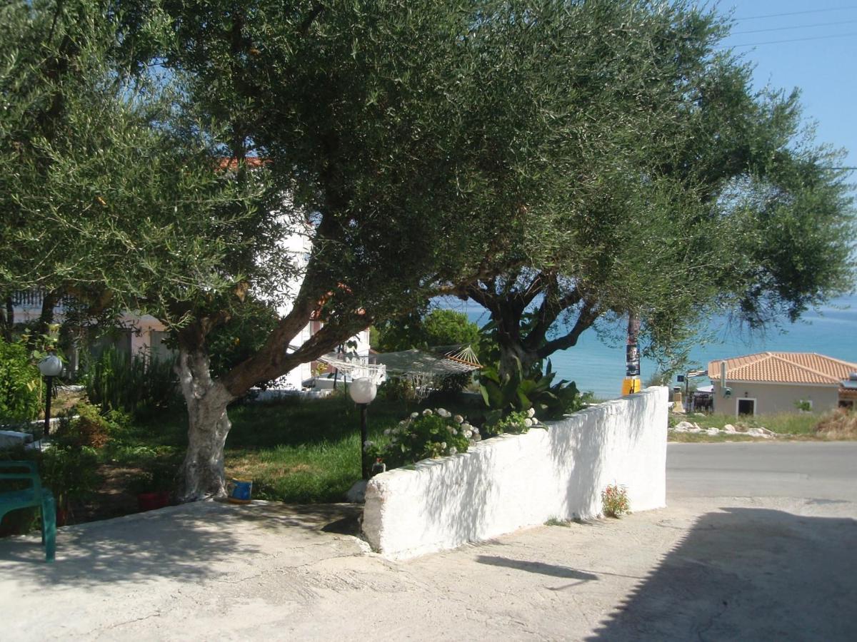 Billy's Amoudi Apartments - B&B