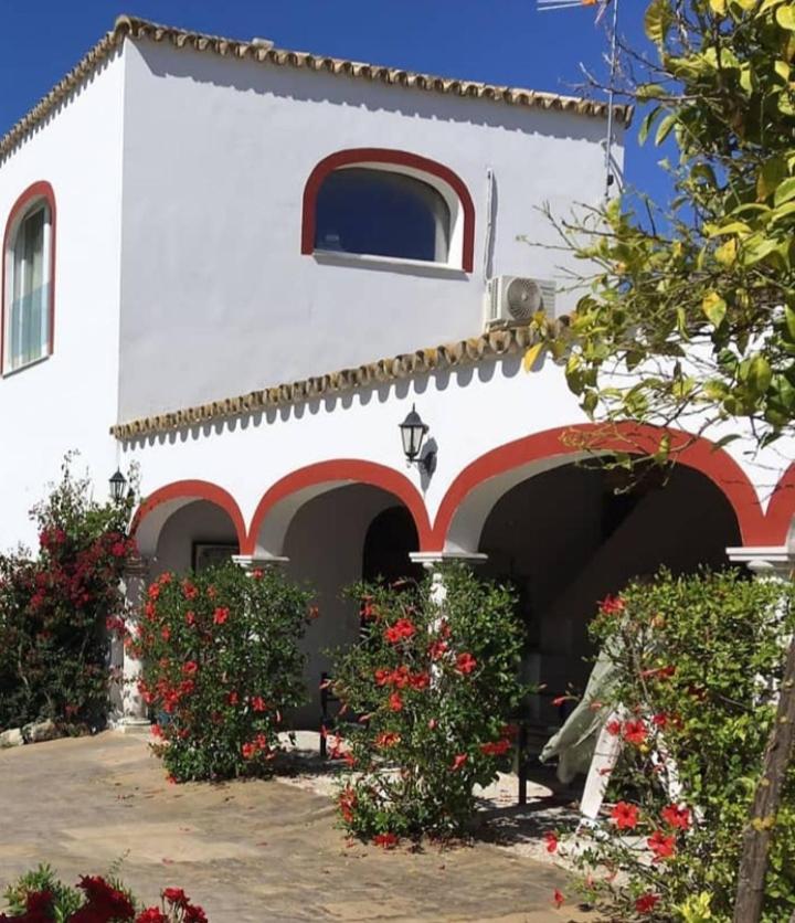 Viña Santa Petronila Torre - B&B Jerez de la Frontera