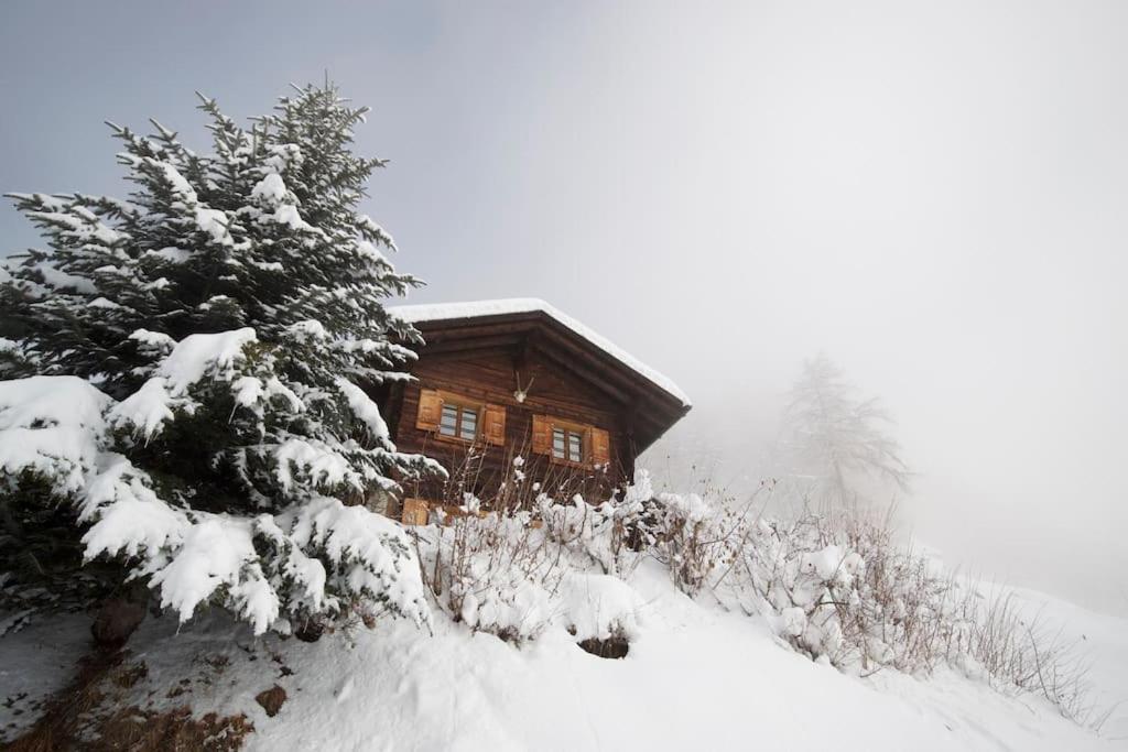 Traditional chalet in the heart of nature - B&B