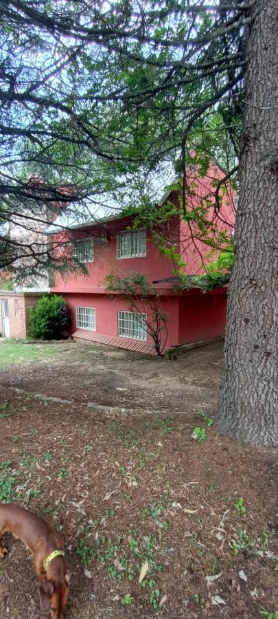Cabañas LAGO CHICO - B&B