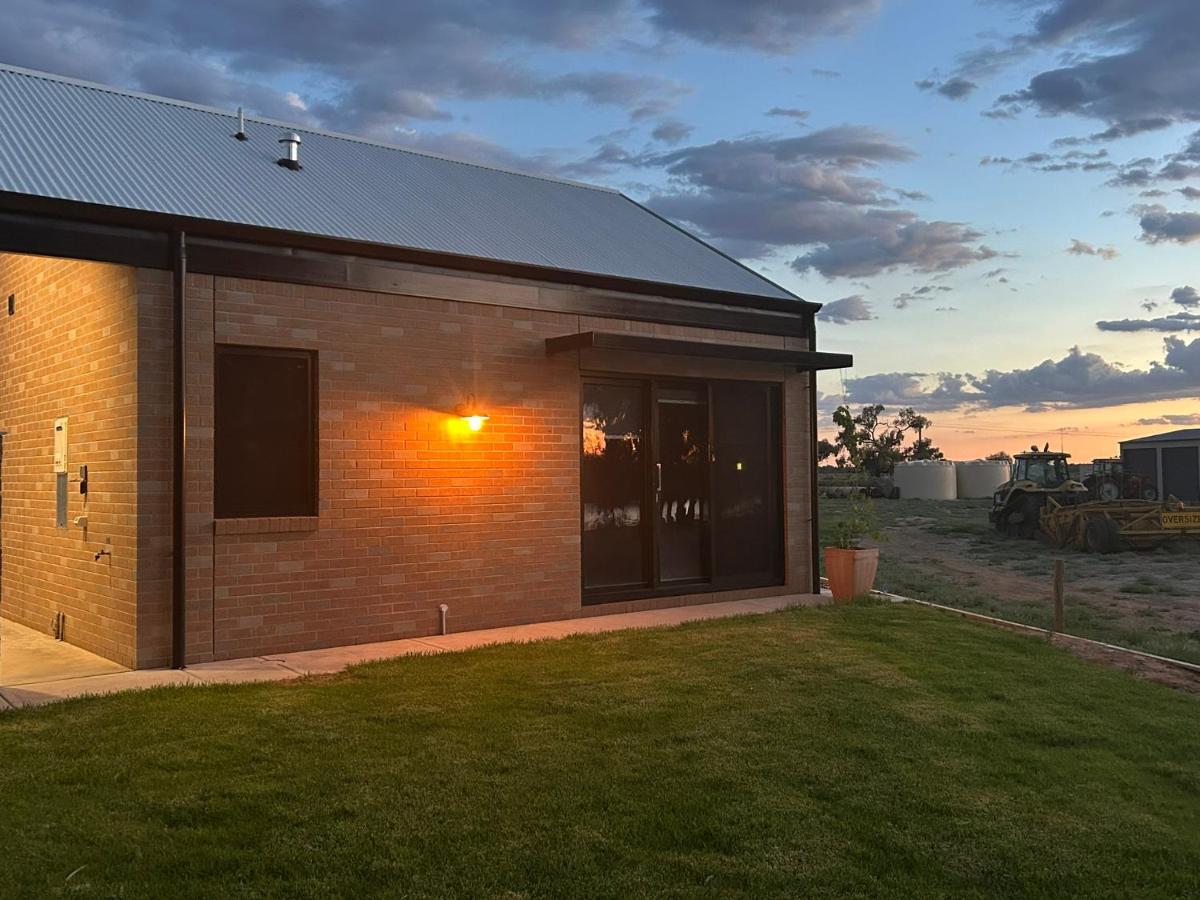 Pelicans on the Darling - B&B Wentworth