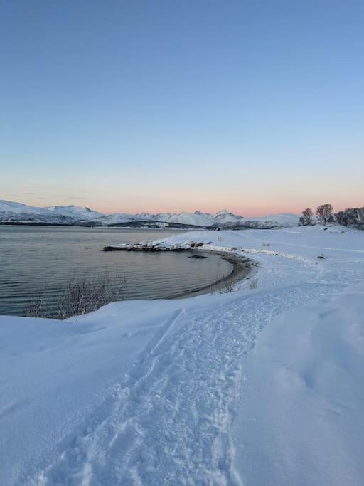 B&B Tromsø - Koselig leilighet med havutsikt - Bed and Breakfast Tromsø