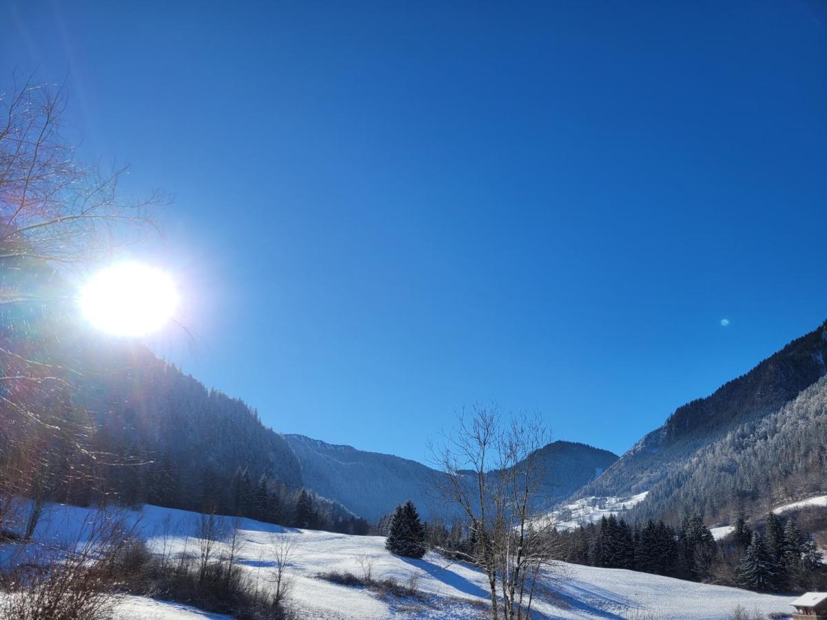 Centfontaines City - Bed and Breakfast Bonnevaux