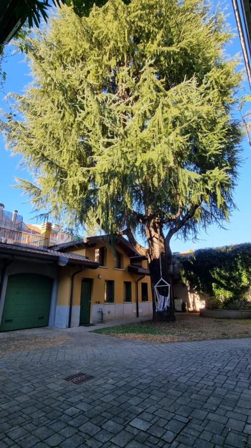 Casa del Cedro - Comfort e relax - Ferienwohnung