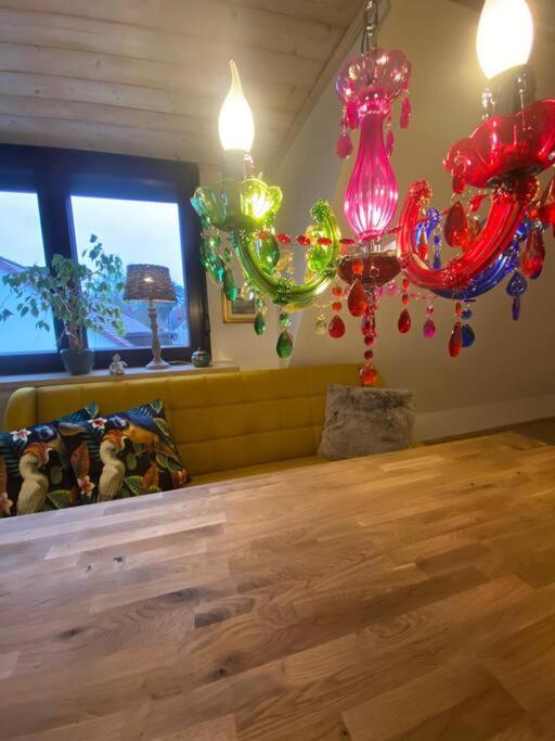 Villa Bine - Ferienwohnung