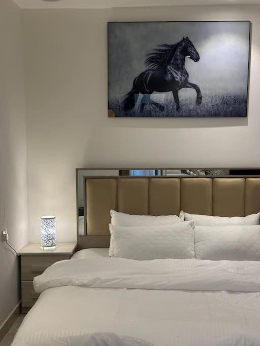 استديو بتصميم مودرين باليرموك - B&B