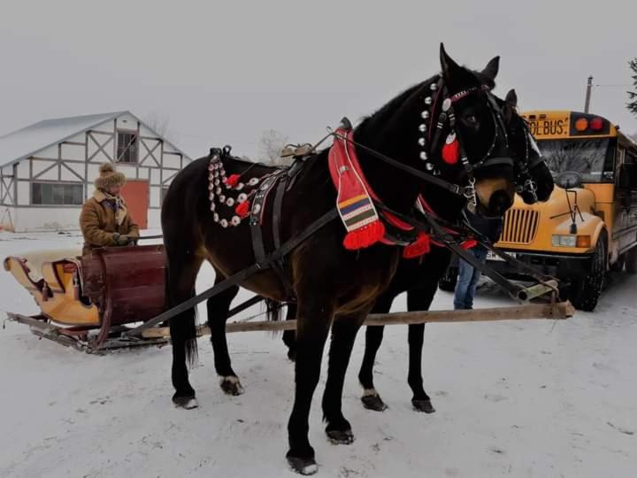 Casa con 2 Camere da Letto