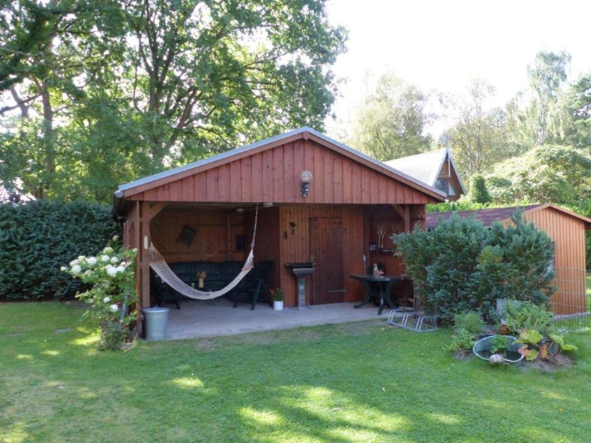 Sandkiefer Zinnowitz - B&B Ostseebad Zinnowitz