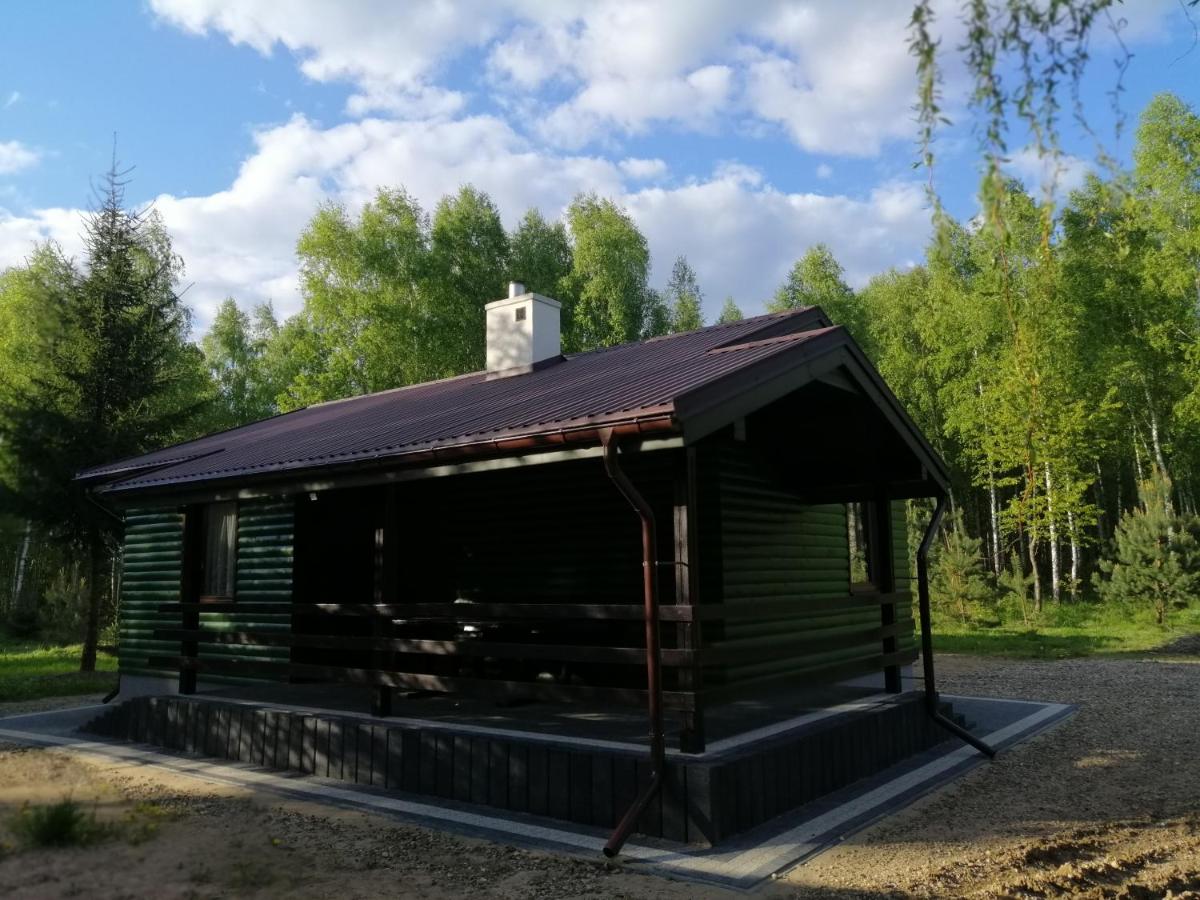 Agroturystyka Klimaty Poleskiego Parku - B&B