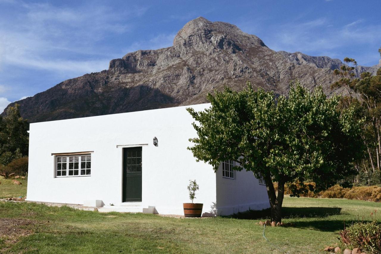 Basic Cottage