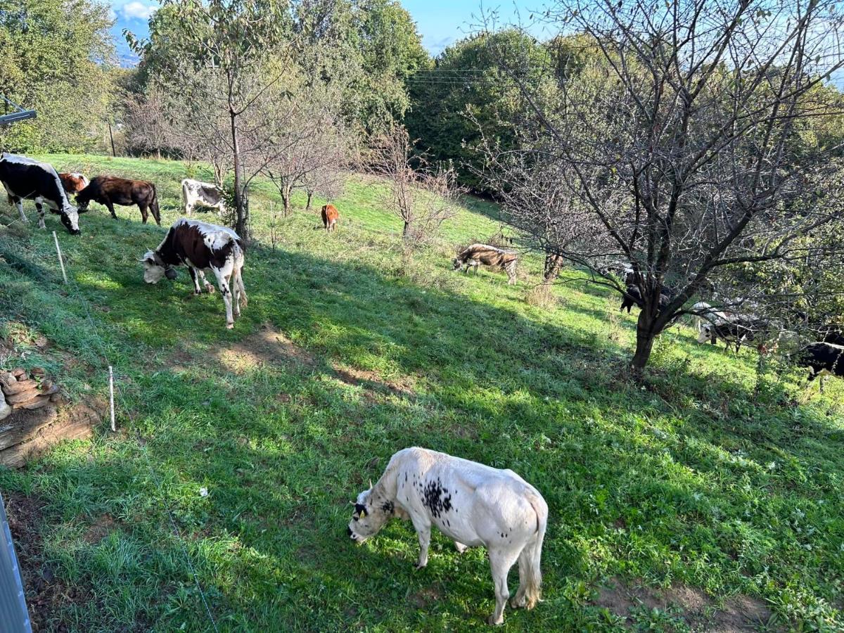 Casa con 2 Camere da Letto